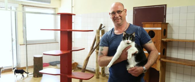 SPA : « Accueillir les animaux avec tout l’amour dont ils ont besoin »