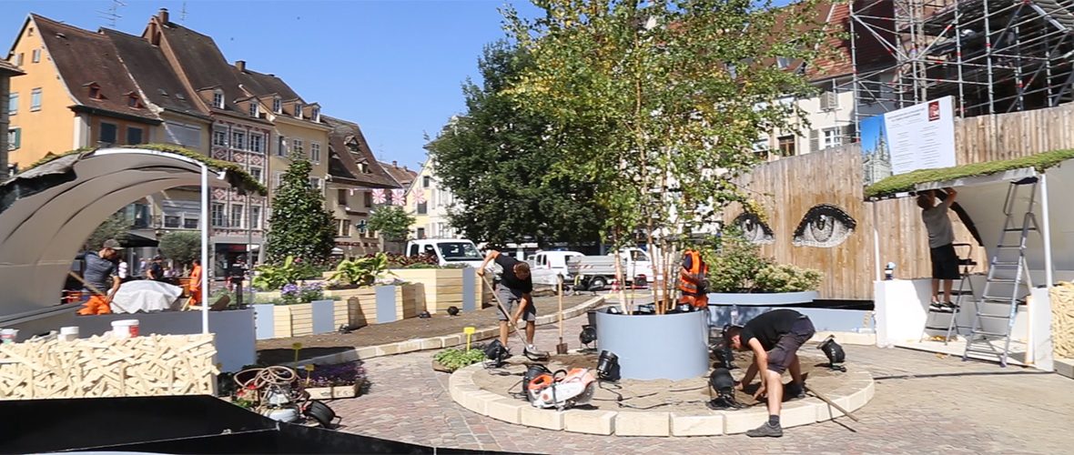 VIDEO : le Jardin éphémère prend ses aises, place de la Réunion | M+ Mulhouse