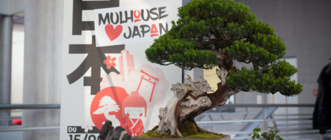 Le Japon, invité d’honneur à Mulhouse