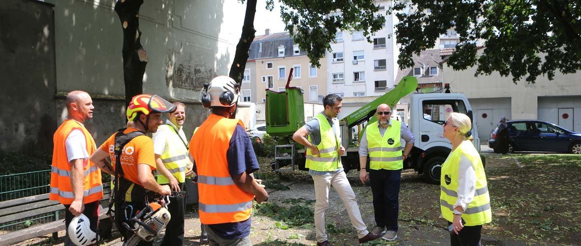 “Prox’Quartiers Briand” : mobilisation pour la qualité de vie des habitants | M+ Mulhouse