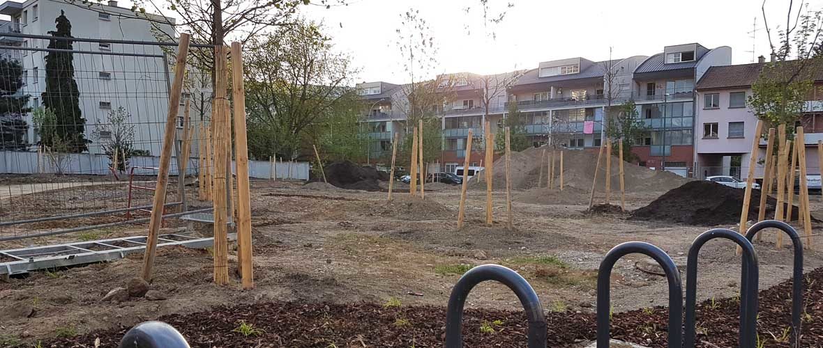 Jardins Neppert : quatre nouveaux « poumons verts » et des voiries repensées | M+ Mulhouse