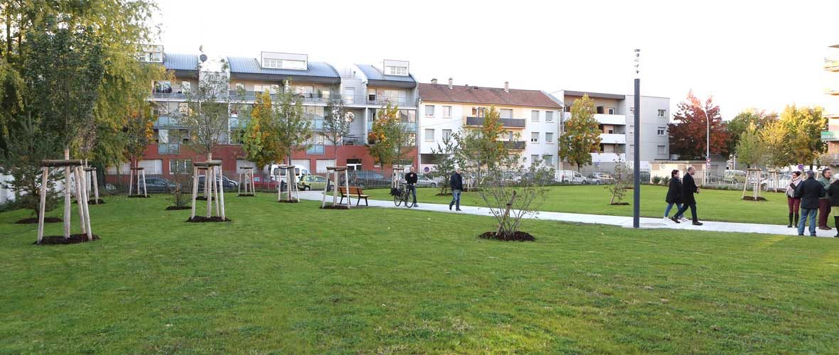 Neppert : un nouveau parc public de proximité | M+ Mulhouse