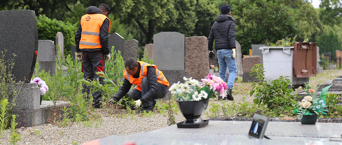 L’entretien des espaces verts et des cimetières, après le confinement | M+ Mulhouse