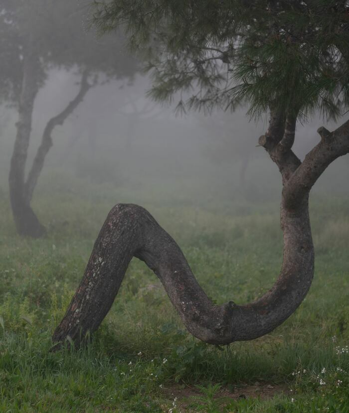 Muséovacances : atelier photographie (de 7 à 11 ans)