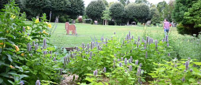 La Ville adapte les espaces verts au changement climatique