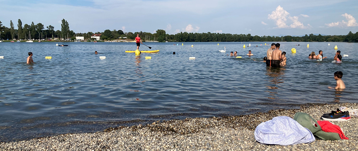 Testé pour vous : piquer une tête au Plan d’eau de Reiningue | M+ Mulhouse